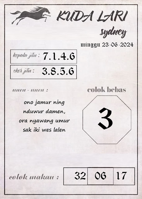SYAIR SDY VIP